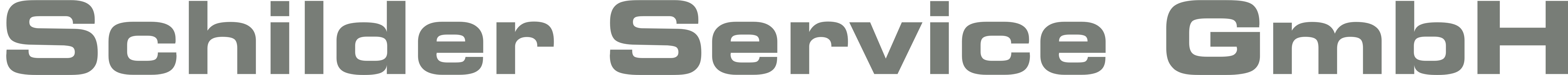 Schilder Service Logo